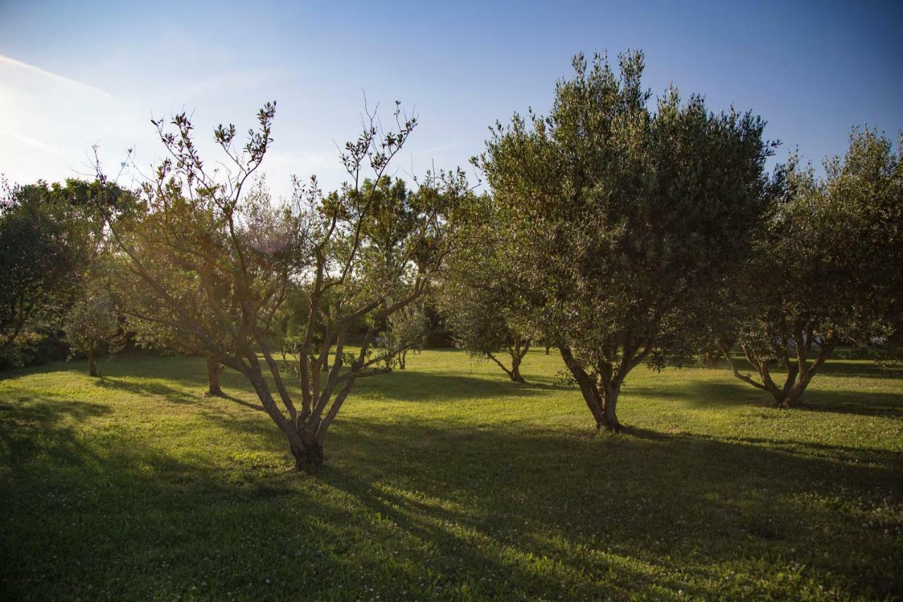 Bed and Breakfast Il Casale Di Nonno Guido Monterado Exterior foto