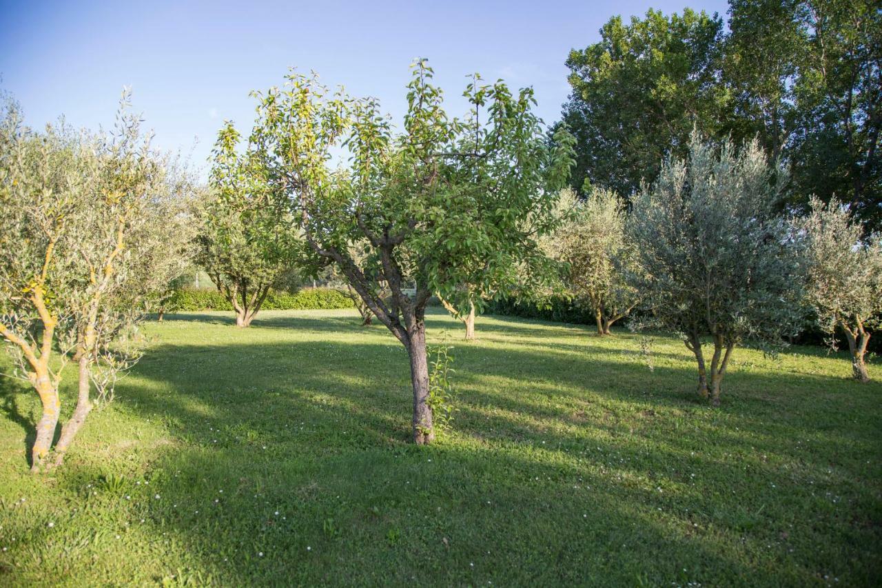 Bed and Breakfast Il Casale Di Nonno Guido Monterado Exterior foto