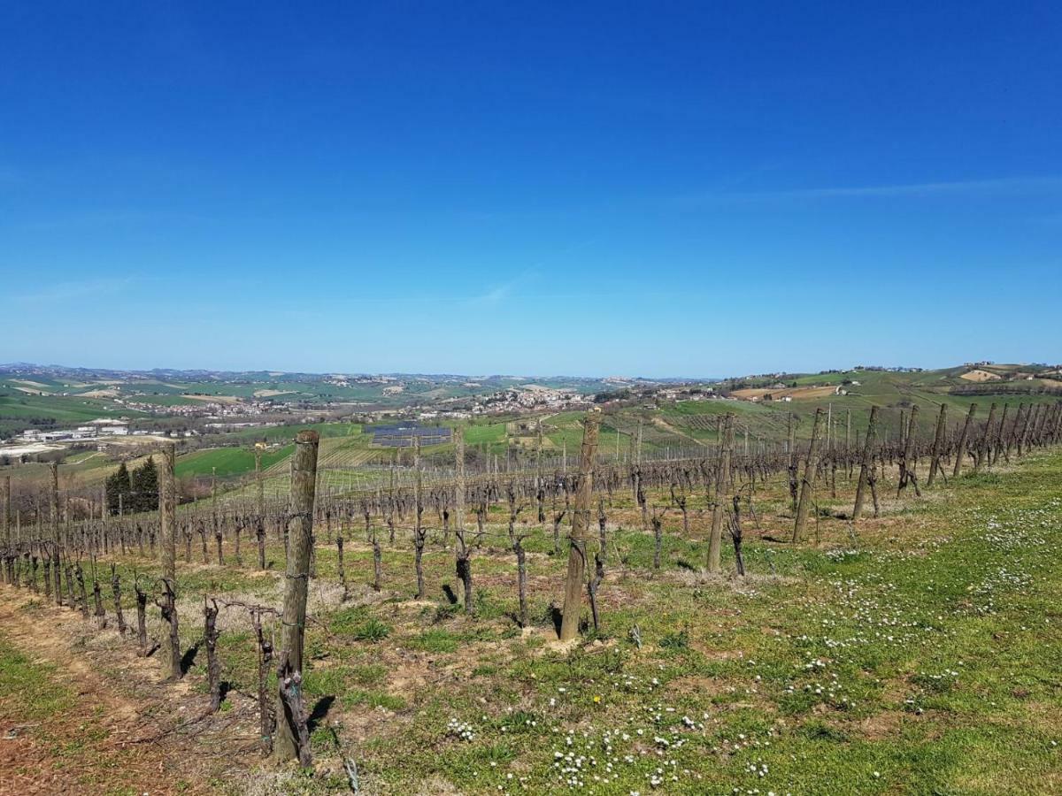 Bed and Breakfast Il Casale Di Nonno Guido Monterado Exterior foto