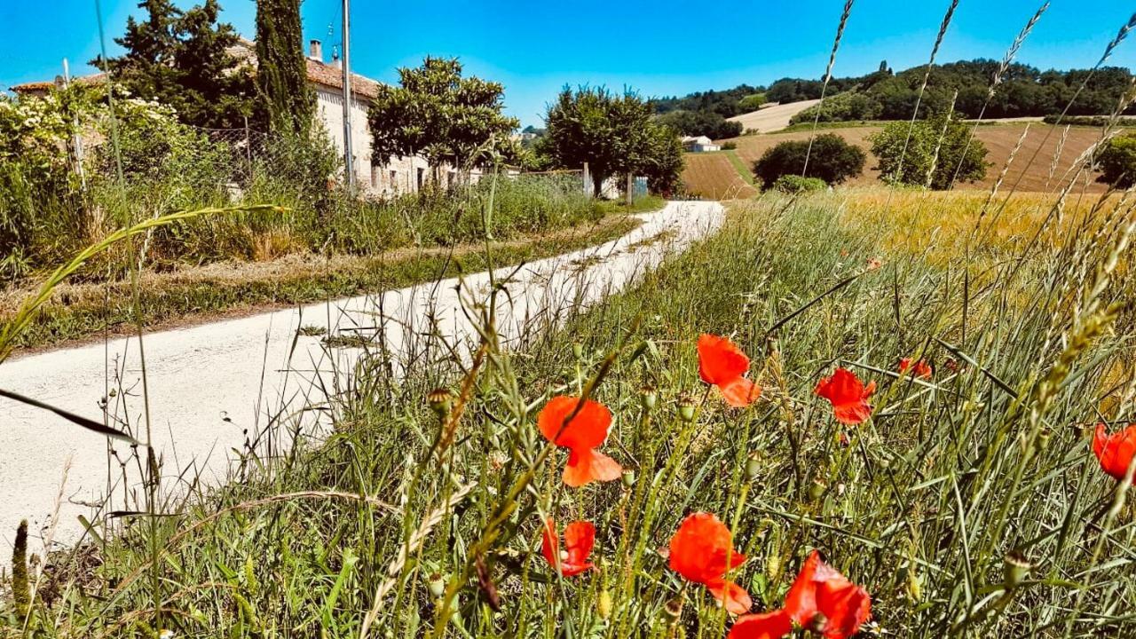 Bed and Breakfast Il Casale Di Nonno Guido Monterado Exterior foto