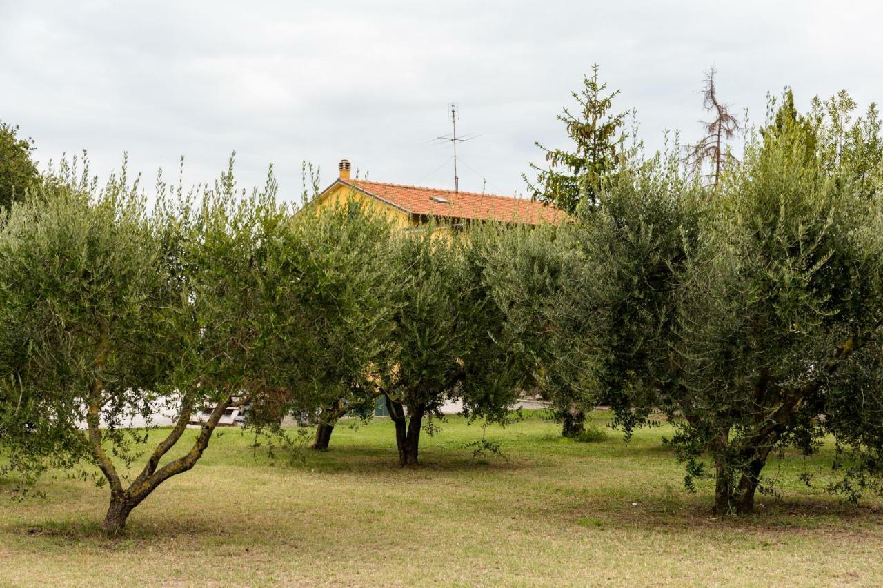 Bed and Breakfast Il Casale Di Nonno Guido Monterado Exterior foto