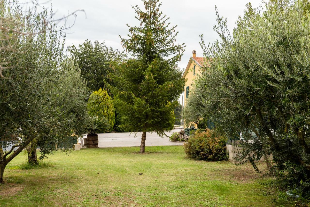 Bed and Breakfast Il Casale Di Nonno Guido Monterado Exterior foto