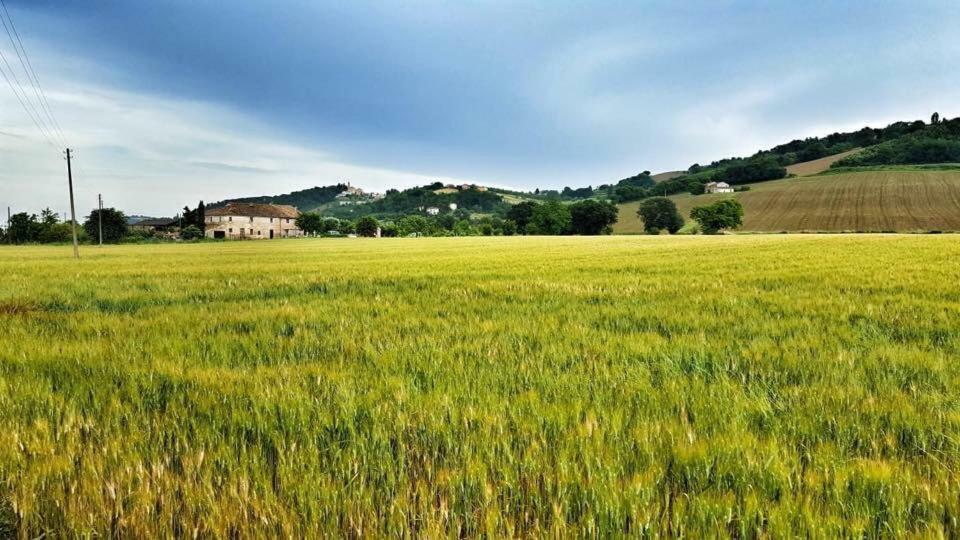 Bed and Breakfast Il Casale Di Nonno Guido Monterado Exterior foto